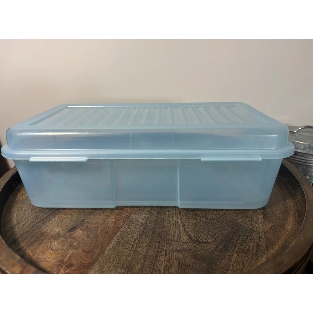 Vintage Rubbermaid Keepers Shoe Box Clear Blue Hinged Latch Snap Case 6 Qt